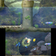 There are also blue Pikmin. Their deal is breathing underwater.